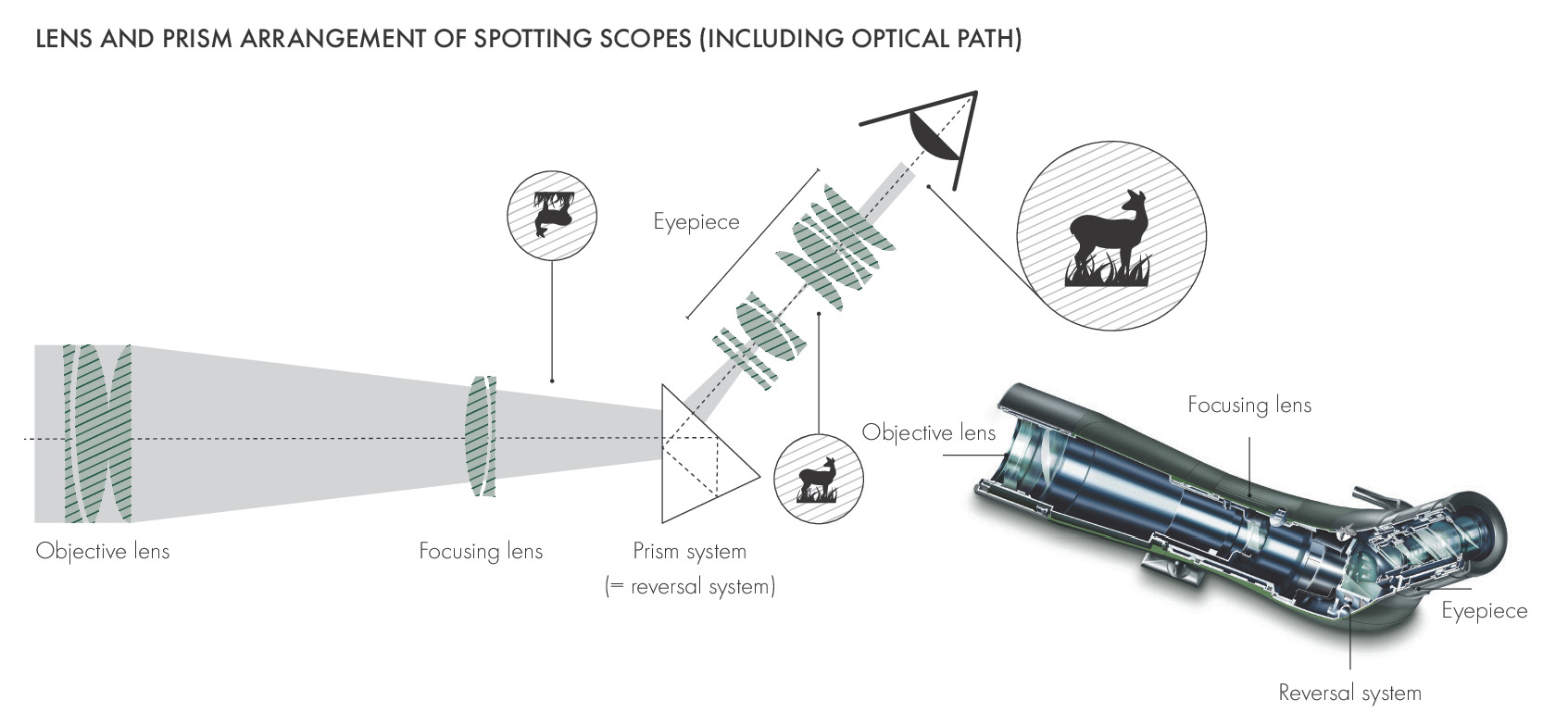 What is the objective lens?
